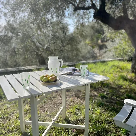 Beachfront Rodi Pelion