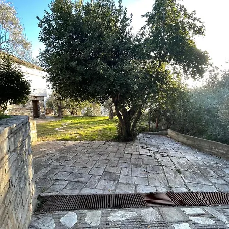 Rodi Pelion * קאטו גצאה