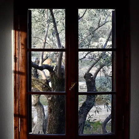 Beachfront Rodi Pelion فيلة